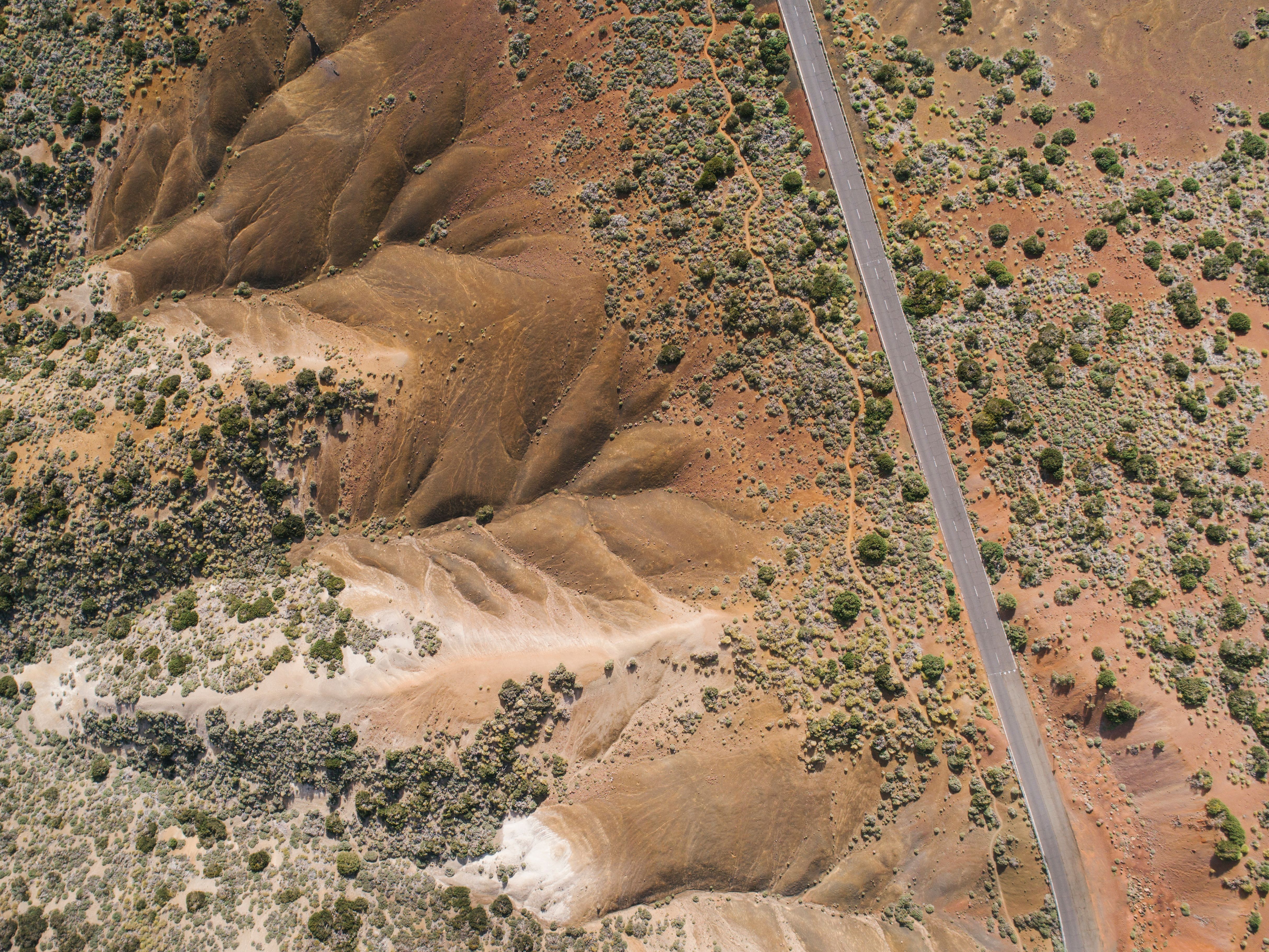 3D topographic mesh